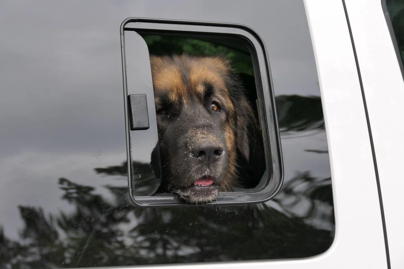 Schiebefenster VW Caddy Maxi 5 Modell ab Bj.2021 – Bild 5